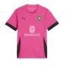 Maroc Concept Rose