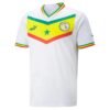 Maillot Senegal Homme Domicile 2023