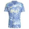 Ajax Amsterdam Extérieur