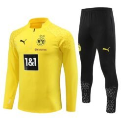 Borussia Dortmund 2024/2025