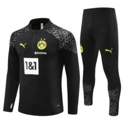 Borussia Dortmund 2024/2025