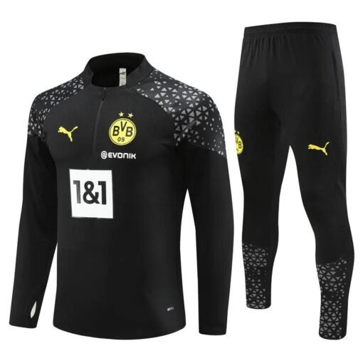 Borussia Dortmund 2024/2025