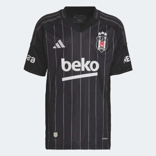 Besiktas Domicile