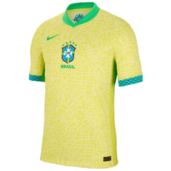 Brésil Domicile 2